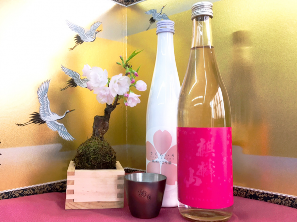 苔玉の桜と春の酒サムネイル